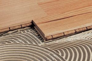 ���� ��� �������