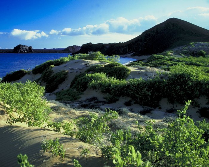 ����� �������� �������� ��� ������������ ������� �� ������� �������