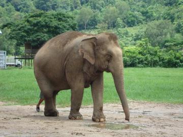 ��� �� ����� � ��� ���������