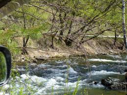 ������������� �����������