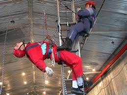 ������������ �������