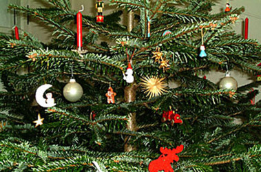 ������������� ����: ��� ��� ������?