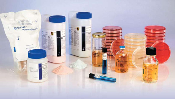 ����������� �����: ����� ����������� ��� ������ ��������?