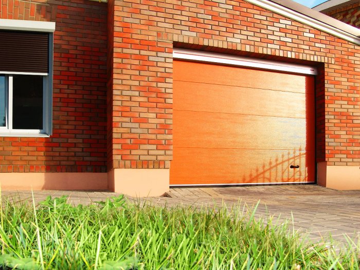 ������������ ���������� �����