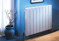 ��������� ��������� ��� ���� � ��������