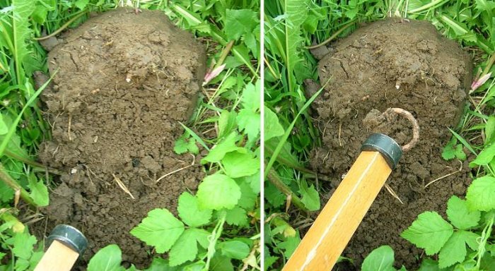 ��������� �������: ��� �� ����� ������������?