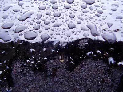 �������� ������� � � �������� �����������