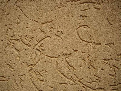 ������������ ���������� �������