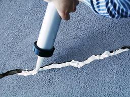 ���� ����������