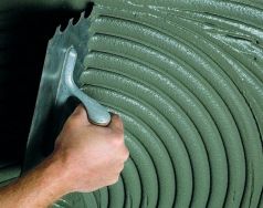 ��� ��������� ��������� ���� ��� ������