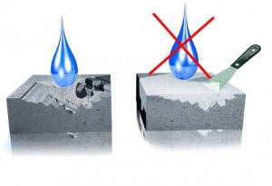 ����������� �������������