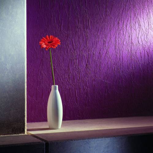 ���� ��� �������